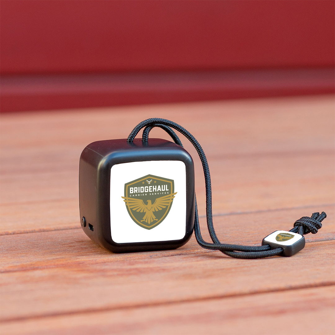 Bridge Haul Chyrp Speaker