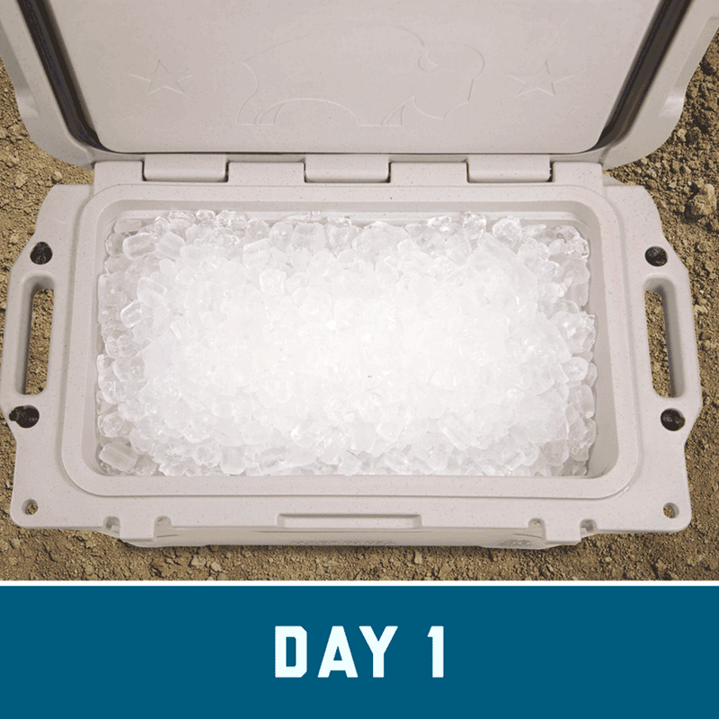 Bennett Bison Cooler