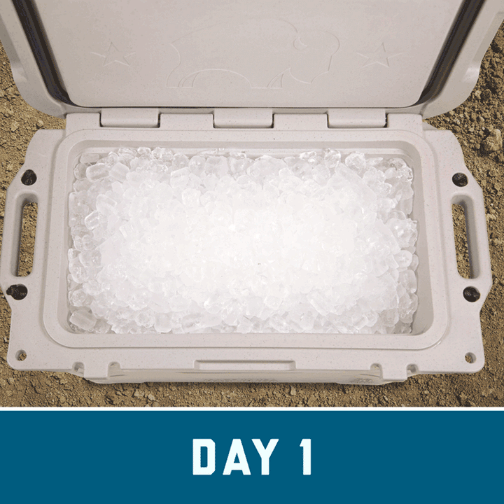 Bennett Bison Cooler