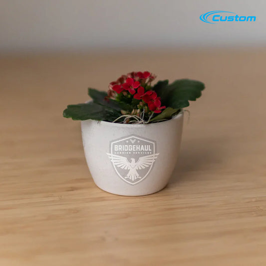 BridgeHaul Mini Harlow Cream, Jade Plant