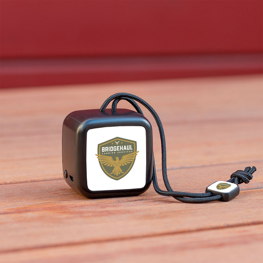 Bridge Haul Chyrp Speaker