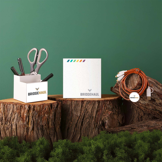 Bridge Haul TerraTone Organize & Energize Kit