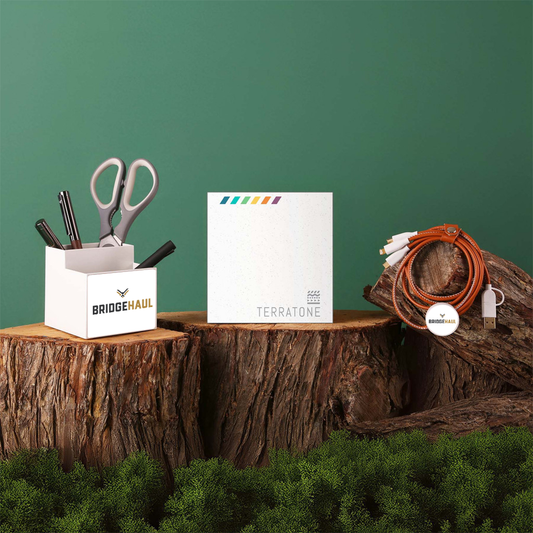 Bridge Haul TerraTone Organize & Energize Kit