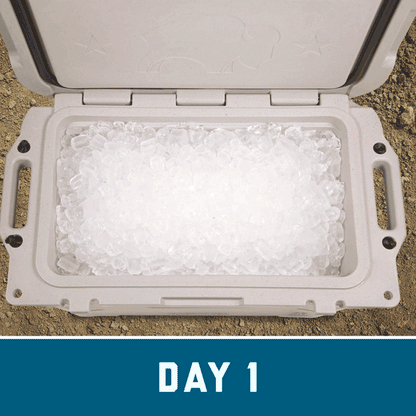 Bennett Bison Cooler